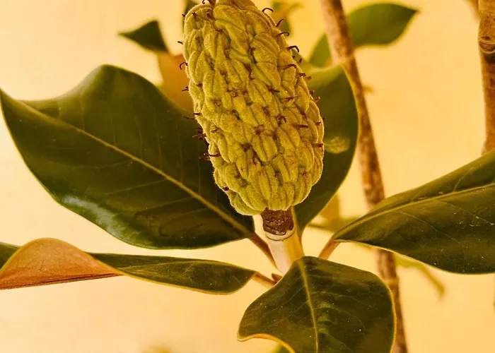 Casa Villaflamenca * Segovia